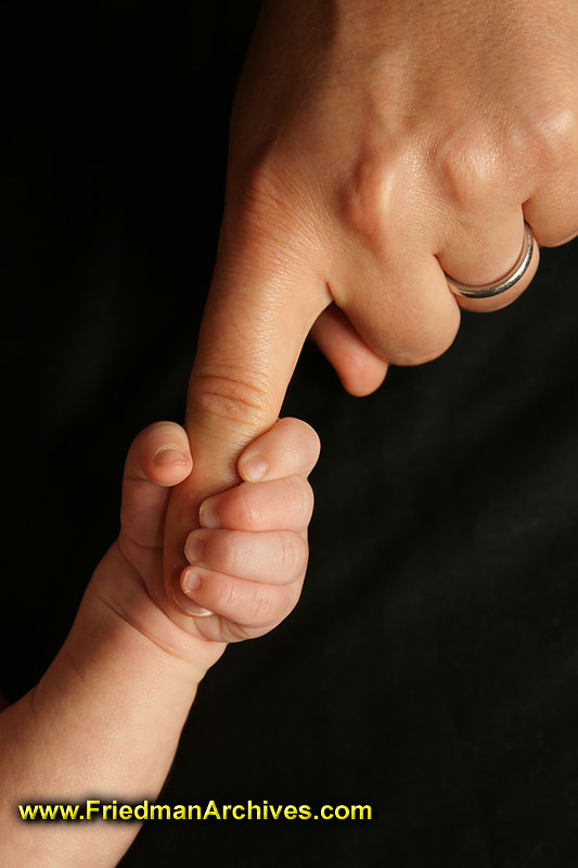 baby,newborn,pregnancy,toddler,portrait,family,infant,black,